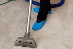 Carpet Cleaning Highbury