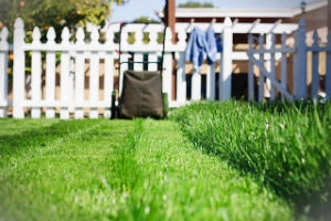 grass-cutting-services-highbury