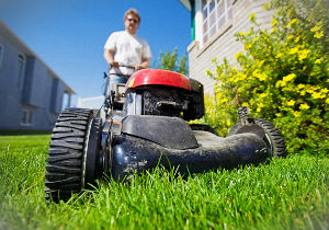 grass-cutting-highbury