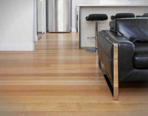 hard-floor-cleaning-polishing-highbury